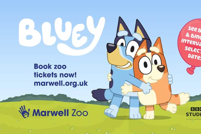Bluey will be coming to Marwell Zoo for a visit.