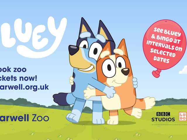 Bluey will be coming to Marwell Zoo for a visit.