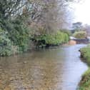 The River Ems is becoming little more than a deep puddle, say campaigners. Picture: Friends of the River Ems