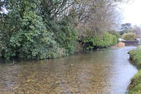 The River Ems is becoming little more than a deep puddle, say campaigners. Picture: Friends of the River Ems
