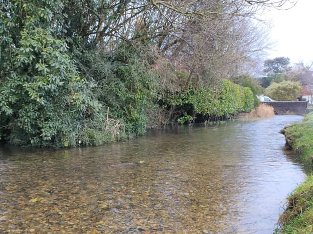 The River Ems is becoming little more than a deep puddle, say campaigners. Picture: Friends of the River Ems