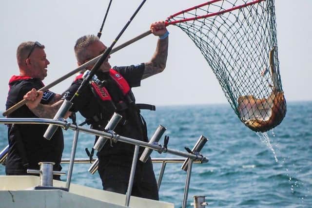 Another fish comes to the BadBoyz boat during the first day of the Sea Angling Classic