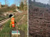 ASLEF strikes: Fareham to Eastleigh railway disruption as track shuts for emergency repairs