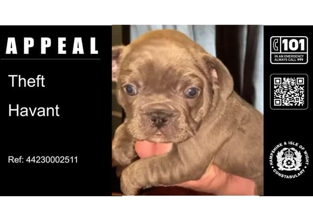 The police are appealing for witnesses after a French Bulldog puppy was stolen in a burglary in Leigh Park on January 3.