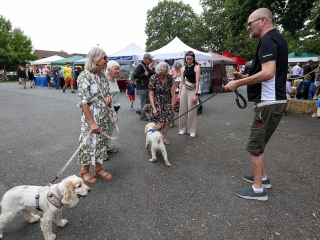 Dogs and owners enjoying the Denmead Village Show on Saturday, August 16. Picture: Chris Moorhouse (160825-31)