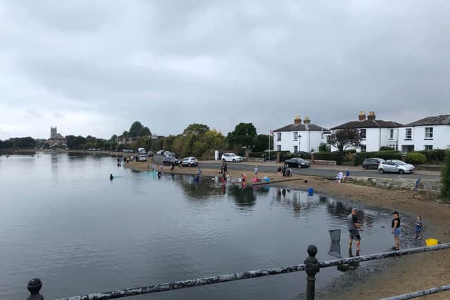 Residents ringed the shoreline for hours in an attempt to save stricken wildlife. Picture: Richard Lemmer