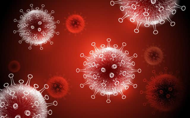 This is what coronavirus looks like. Picture: Shutterstock