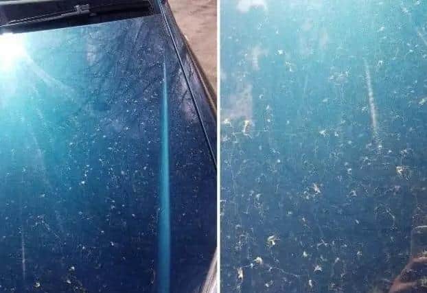 Dust coating a car
