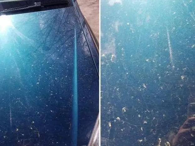 Dust coating a car