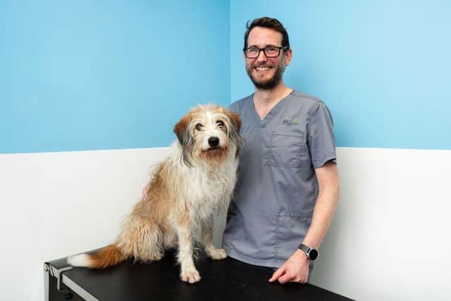 Ponti with Matt Tyler of St Peter's Vets in Petersfield.