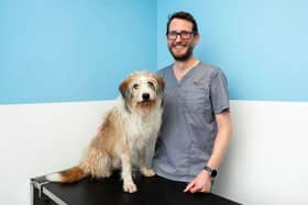 Ponti with Matt Tyler of St Peter's Vets in Petersfield.