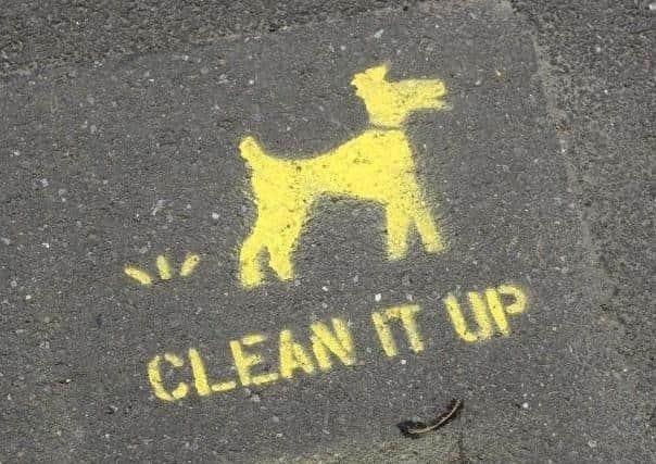 Portsmouth City Council has one of the lowest rates for issuing dog fouling fines.