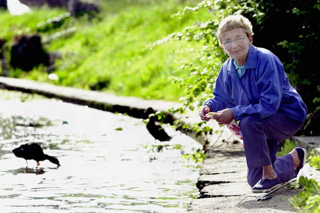 Beryl Stewart was threatened with a £60 littering fine by a council employee for feeding ducks at the lake by the Hilsea Lido near London Road. PICTURE: JONATHAN BRADY    053090-11