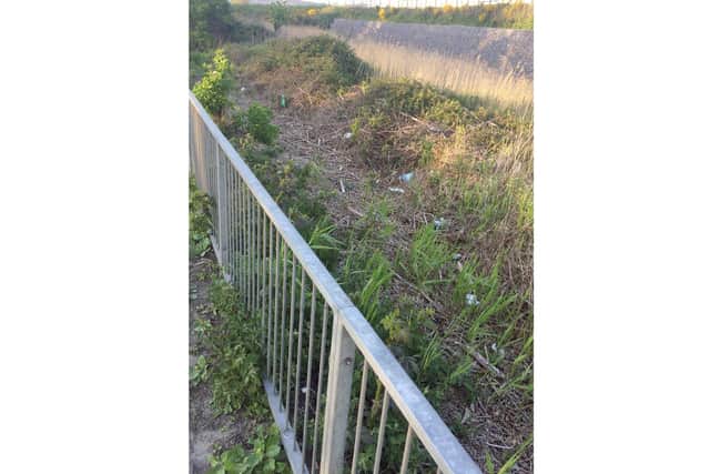 Rubbish beside Eastern Road, Portsmouth. Picture: Simon Carter