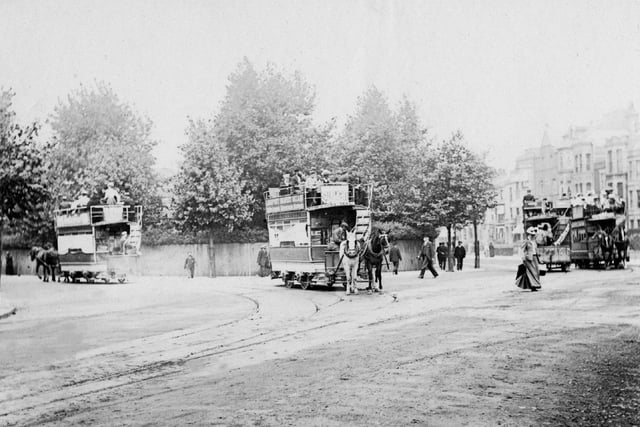 Horse trams of the Provincial Tramway Company with Museum Road going off to the left and Landport Terrace behind the female pedestrian
