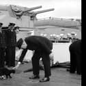 Blackie the cat meets Churchill aboard the HMS Prince of Wales. Picture: Wikimedia