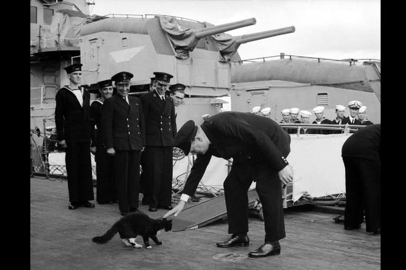 Blackie the cat meets Churchill aboard the HMS Prince of Wales. Picture: Wikimedia