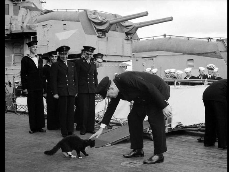 Blackie the cat meets Churchill aboard the HMS Prince of Wales. Picture: Wikimedia