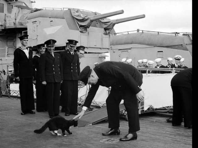 Blackie the cat meets Churchill aboard the HMS Prince of Wales. Picture: Wikimedia