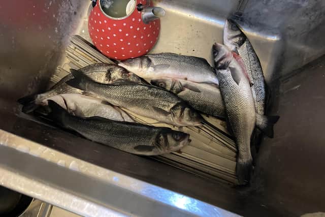 Istanbul Restaurant in Osborne Road, Southsea, was ordered to close under a hygiene emergency prohibition order granted by Portsmouth magistrates on Tuesday, May 18. It comes after Portsmouth City Council's environmental health team sought the closure. Picture shows 'fish left with dirty equipment in sink - fish exposed to risk of contamination - poor food safety diligence'.Picture: Portsmouth City Council