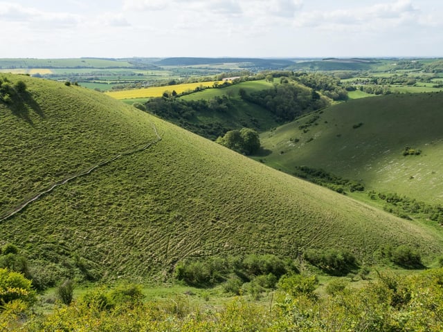 One of the highest points in the county can be found at Butser Hill which is an easy trip to make this summer thanks to its proximity off the A3 just north of Clanfield. There is a carpark at the top, or if you are feeling energetic you can park down at the bottom next to Queen Elizabeth Country Park and walk up. Either way at the top you can enjoy some stunning views to the north of the South Downs National Park, and equally breath taking views of the Solent to the south. There is also a cafe at the top - always a win!Butser Hill in National Park by Daniel Greenwood