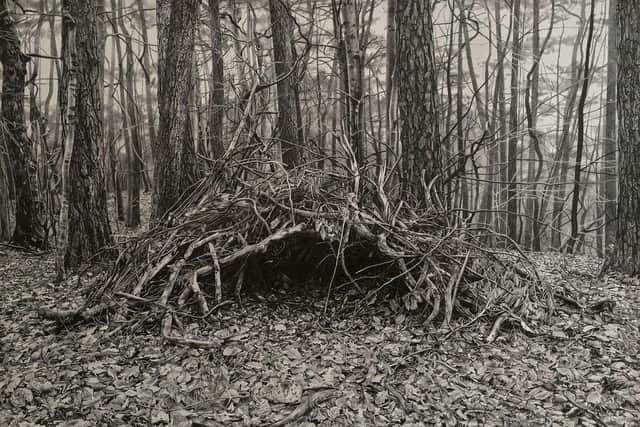 Agata Wojcieszkiewicz, Shelter