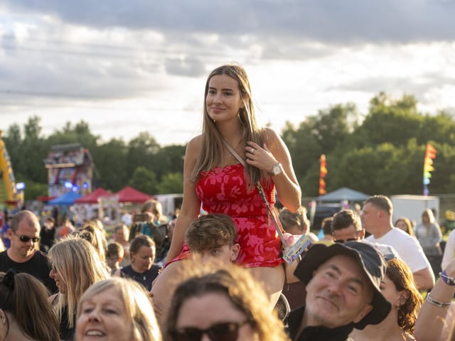 Festival goers enjoying the music at Swanfest 2024