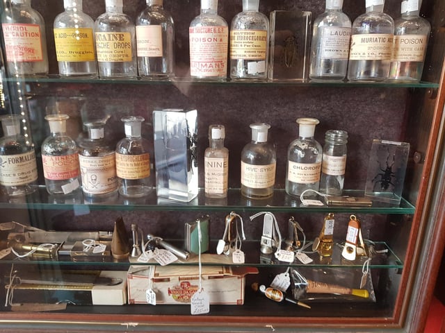 Head Case Curios