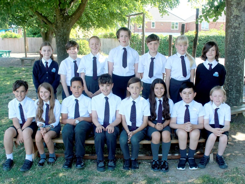 Redlands Primary School Class 10 in Fareham.