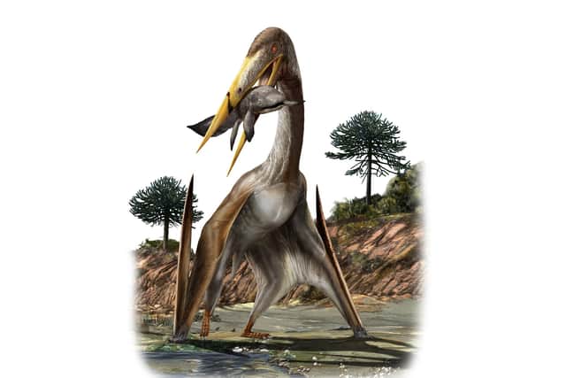 This pterosaur is called Alanqa saharica. Picture: Davide Bonadonna