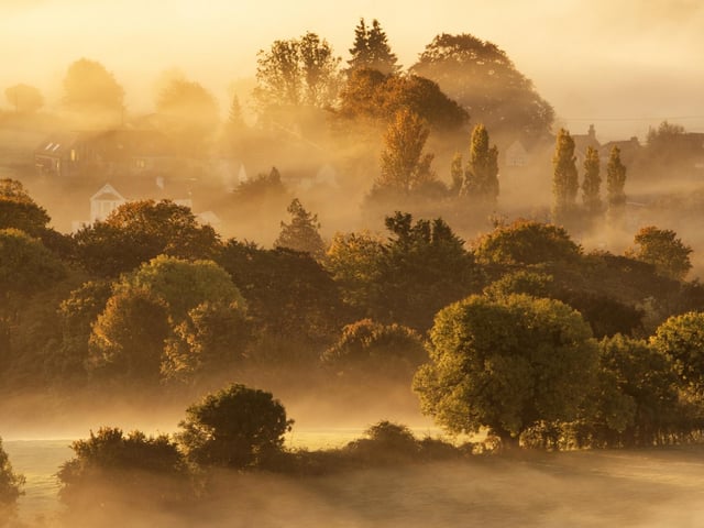 Meon Valley Mist by Simon Newman