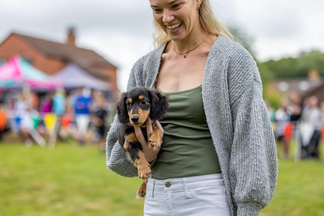 It was a tough job for the judges of the cutest puppy competition with a number of adorable entries. Picture: Mike Cooter (210724)