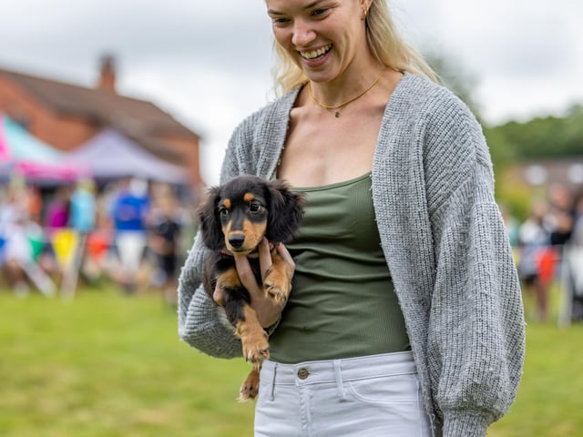 It was a tough job for the judges of the cutest puppy competition with a number of adorable entries. Picture: Mike Cooter (210724)