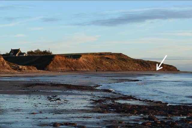 The fossil was originally found on the foreshore at Brook Bay