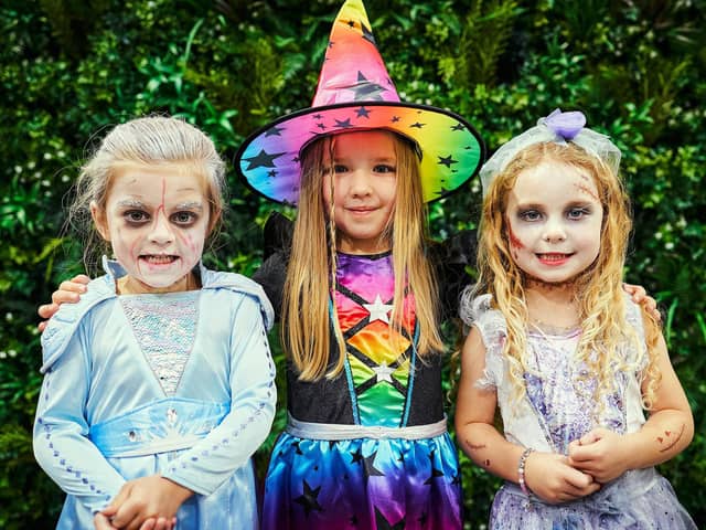 Between 27-30 October, the Dobbies store in Havant will host a spooktacular set of Halloween activities for kids up to the age 10. Picture: Fraser Band