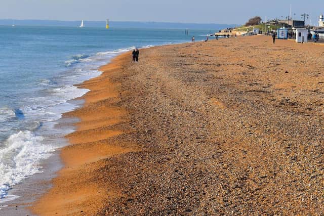 South Sea beach is perfect for your pooch to run along the shore