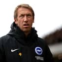 Brighton & Hove Albion manager Graham Potter