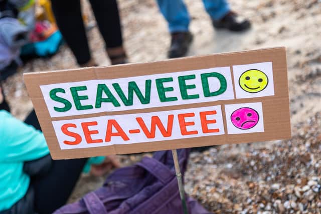 Protest signs at Southsea Beach. Picture: Mike Cooter (161021)