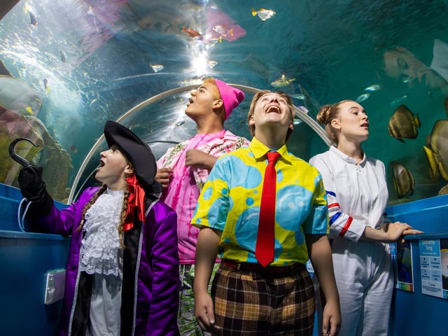 Pictured - Casper Horn, 16 (SpongeBob), Stanley Pearl (Patrick), Ella Burgos, 17 (Sandy)  and Jemima Rees, 14 (Patchy the Pirate)Photos by Alex Shute