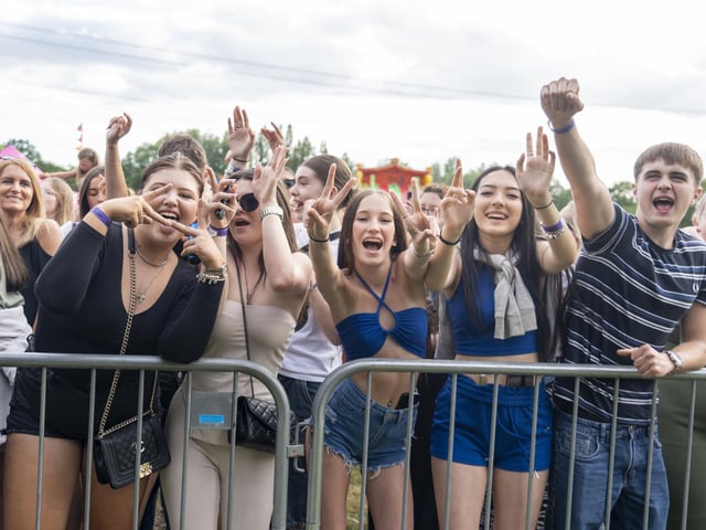 Festival goers enjoying the music at Swanfest 2024