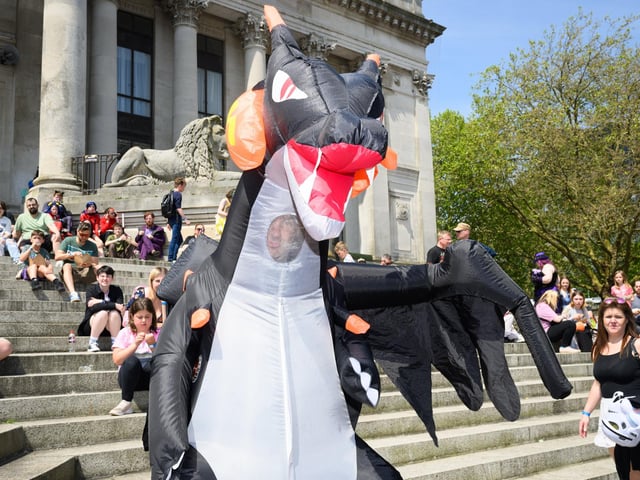 A Dragon. Picture: Keith Woodland (110521-218)