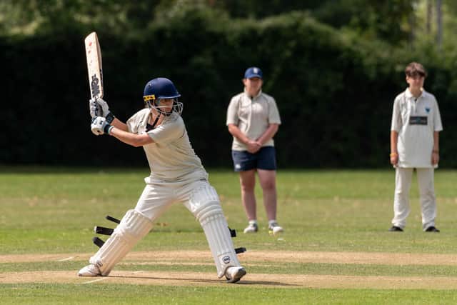 Railway Triangle's Zoe Stride hit 44 in the T20 victory over Ropley. Picture: Andrew Hurdle