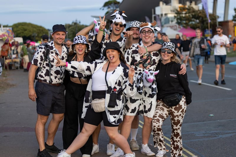 The cow costume crew at Victorious Festival. Picture: Mike Cooter (260823)