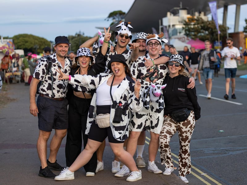 The cow costume crew at Victorious Festival. Picture: Mike Cooter (260823)