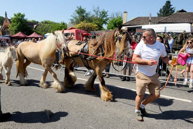 The annual Wickham Horse Fair took place on Monday, May 20, 2024, in The Square, Wickham. Picture: Sarah Standing