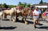The annual Wickham Horse Fair took place on Monday, May 20, 2024, in The Square, Wickham. Picture: Sarah Standing