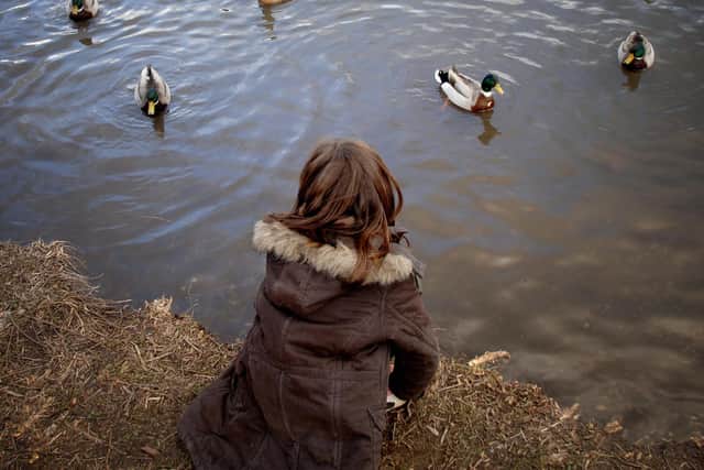 There was drama at the heath pond, Petersfield. Picture: Getty