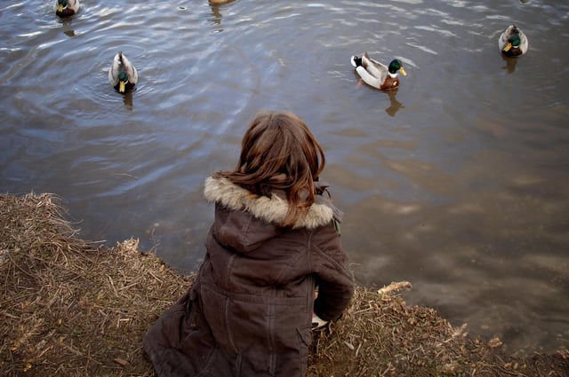There was drama at the heath pond, Petersfield. Picture: Getty