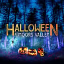 Spine-Tingling Halloween Experience Returns to Hampshire for 2025 Half-Term