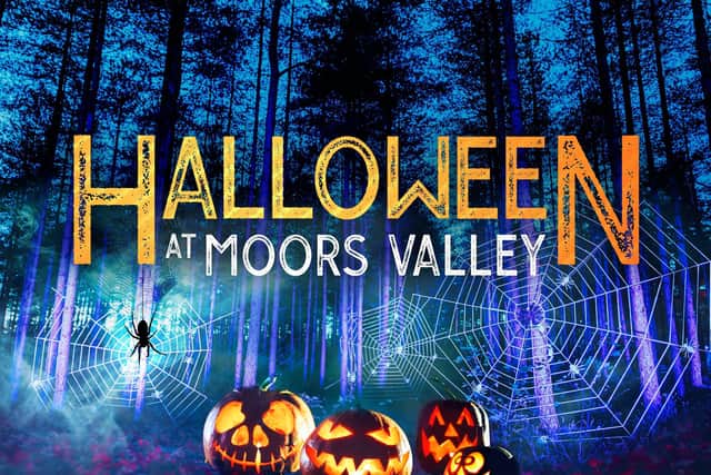 Spine-Tingling Halloween Experience Returns to Hampshire for 2025 Half-Term